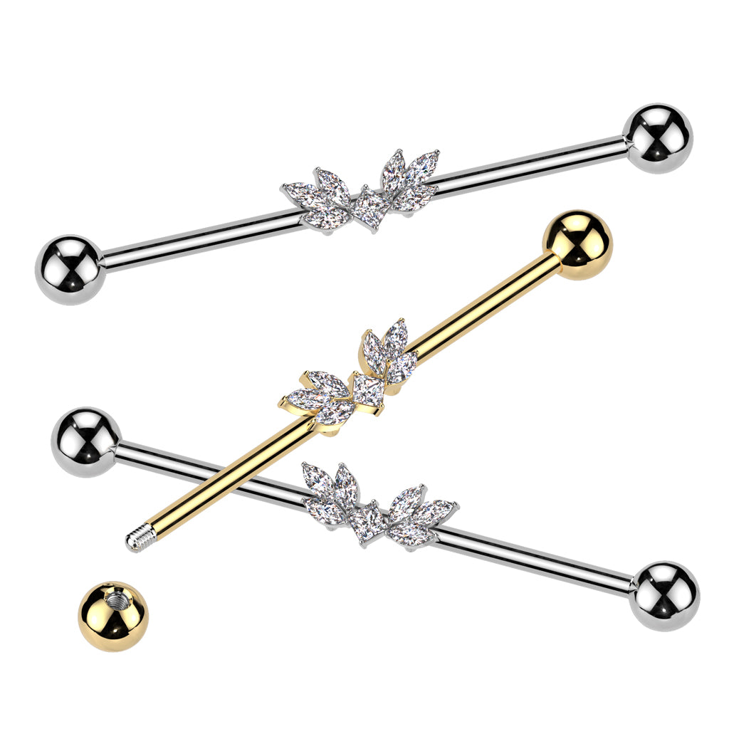 CZ Vine Industrial Barbell.
