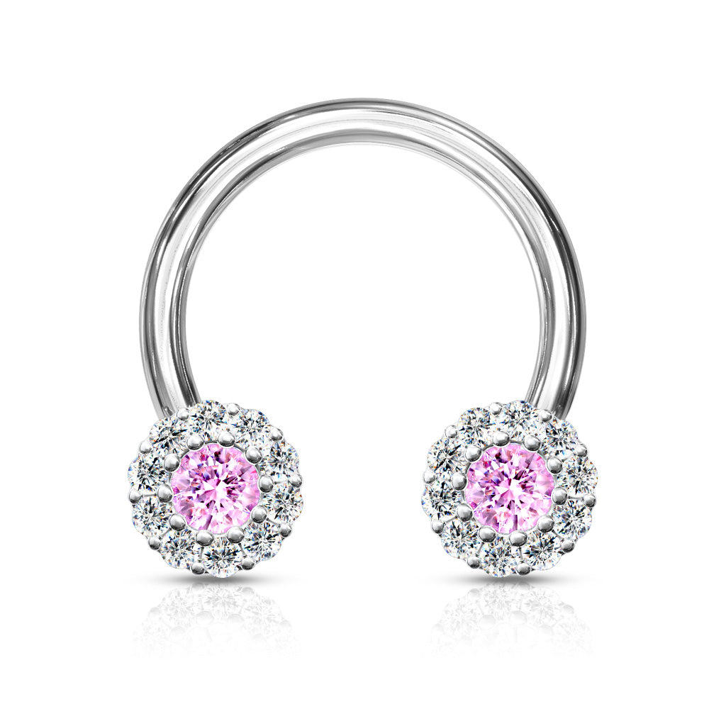 CZ Clusters Horseshoe.