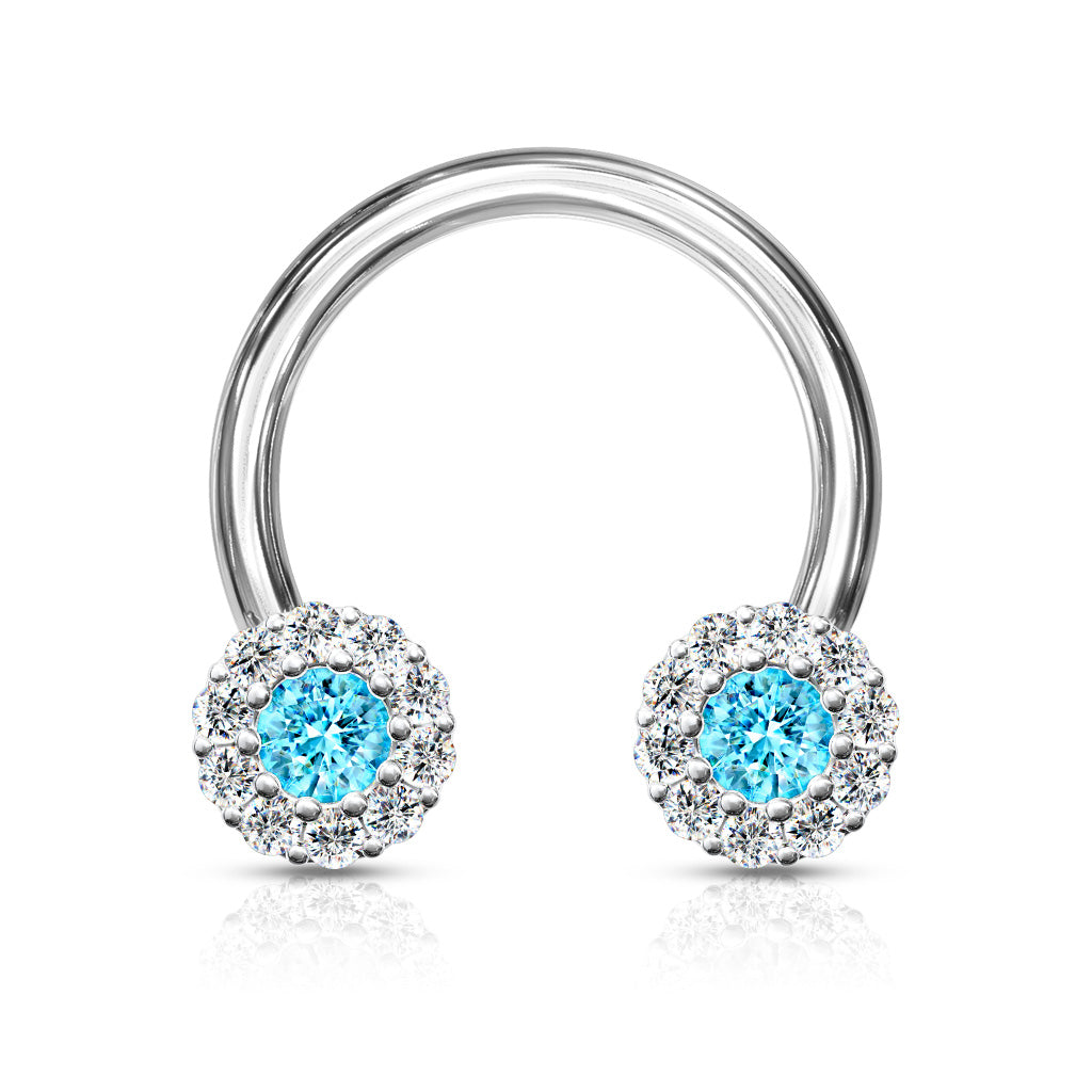 CZ Clusters Horseshoe.