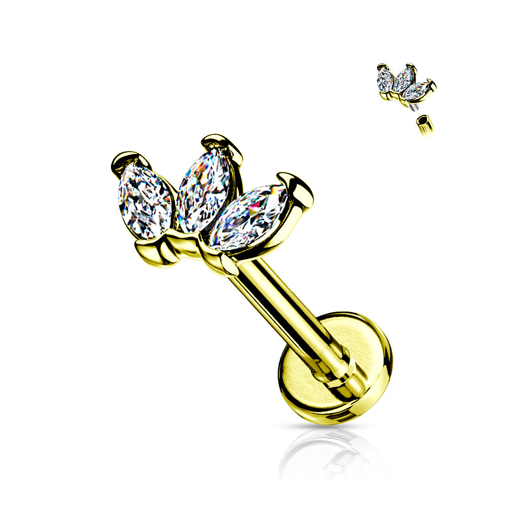 3 Marquise Labret.