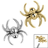 Spider Labret.