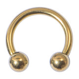 Titanium Horseshoe