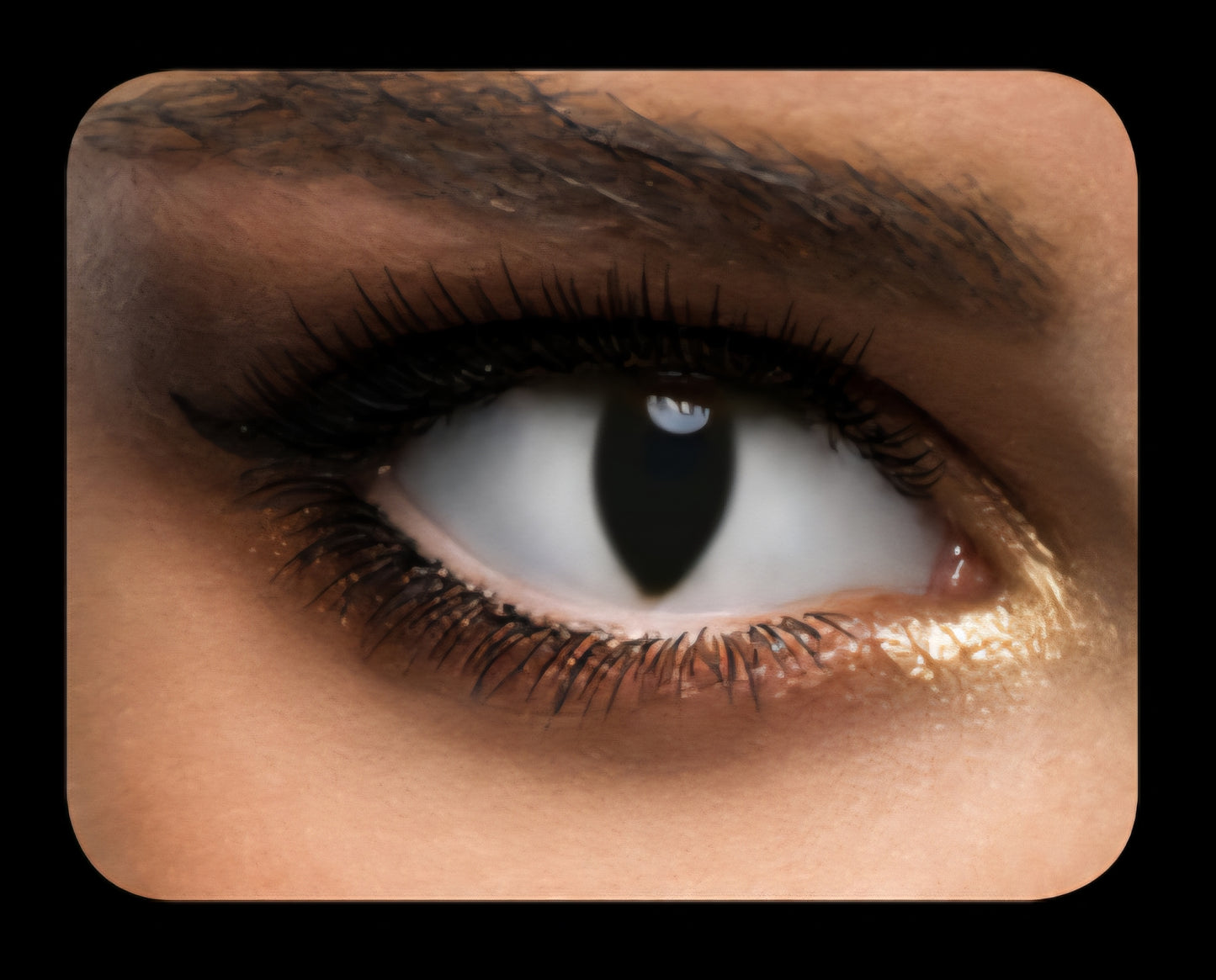 Contact Lenses - Feline White