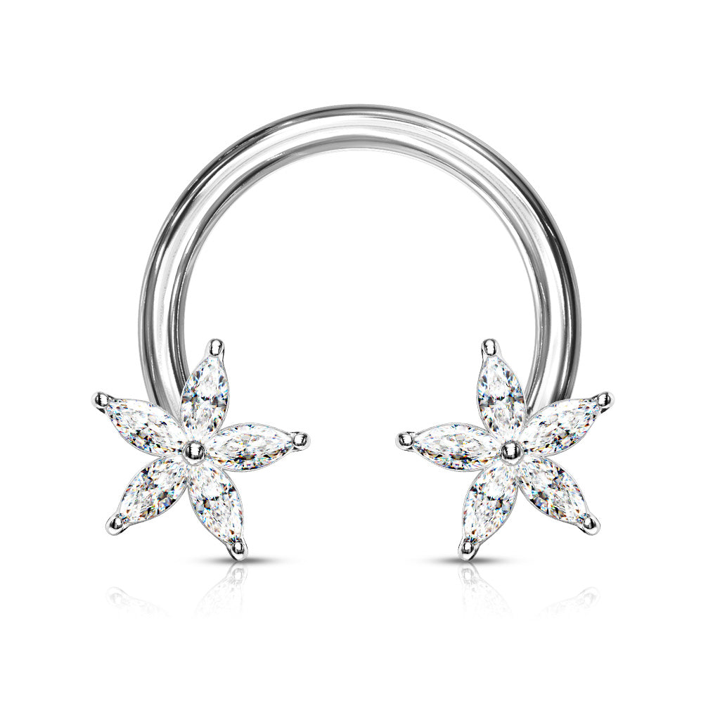 CZ Star Horseshoe.