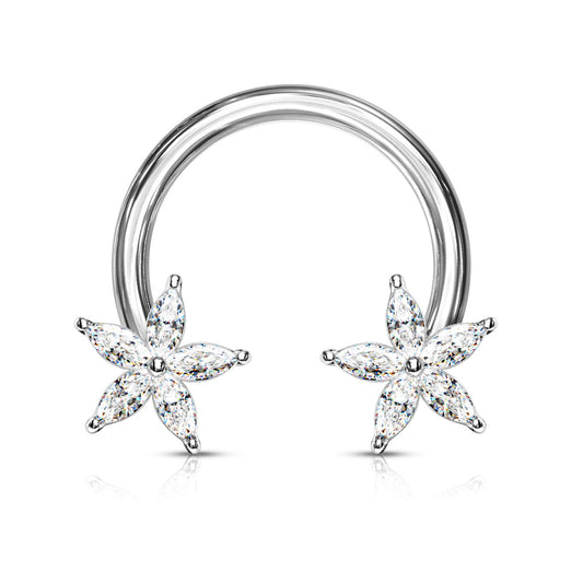 CZ Star Horseshoe.