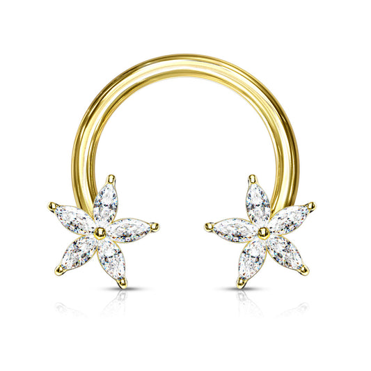 CZ Star Horseshoe.