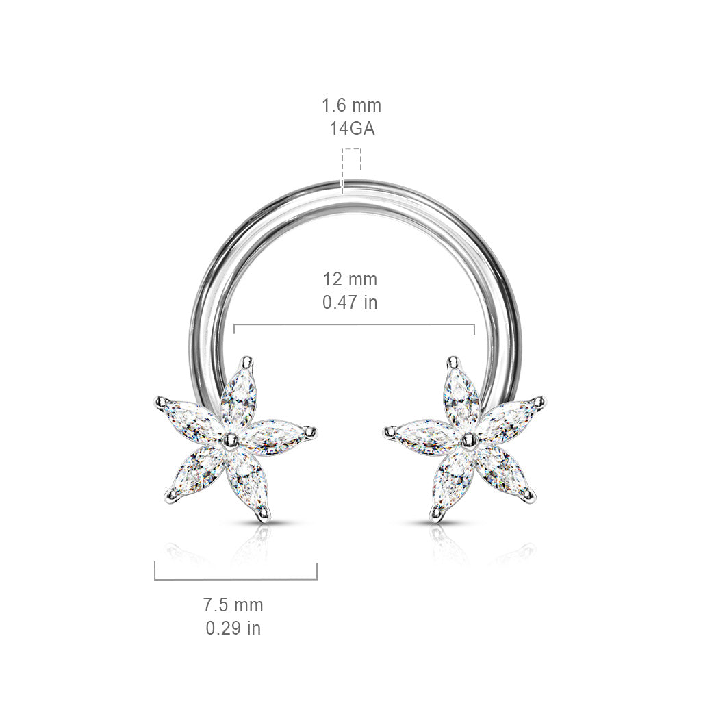 CZ Star Horseshoe.