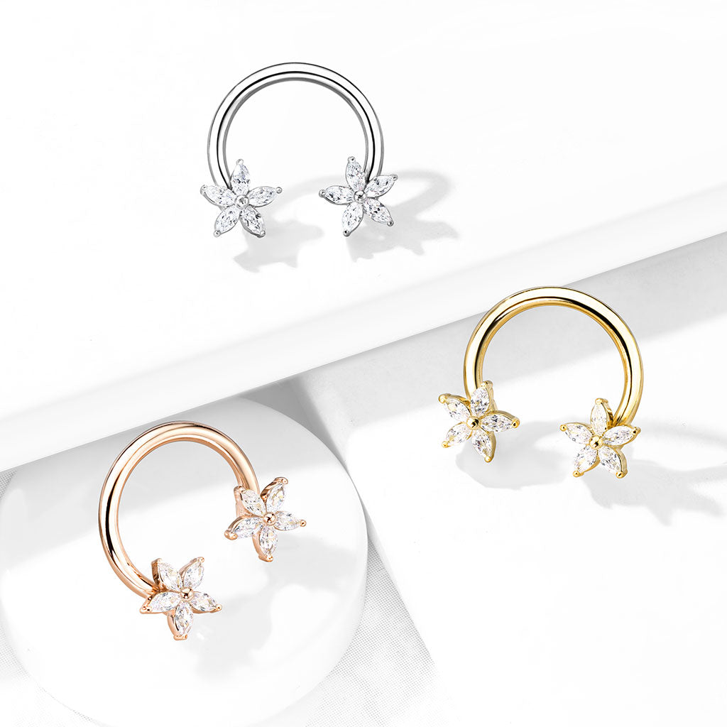 CZ Star Horseshoe.