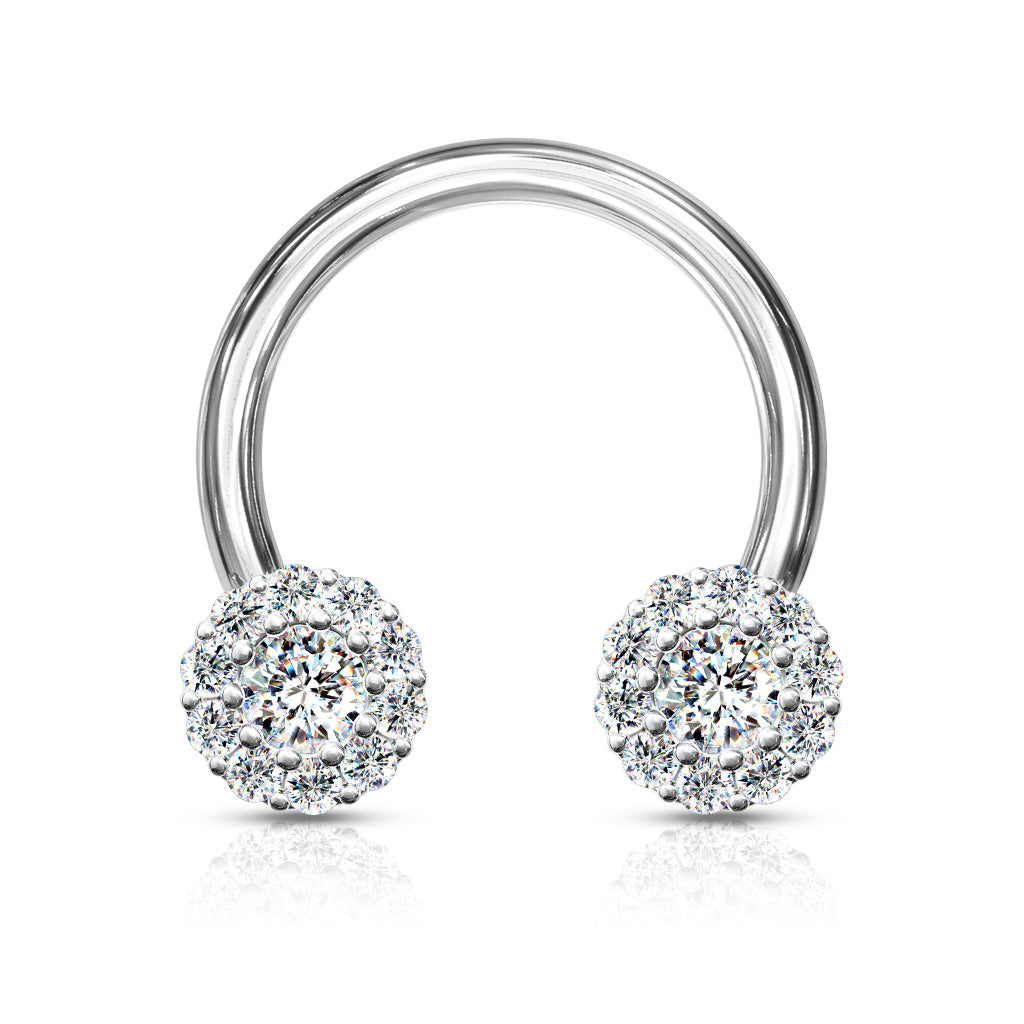 CZ Clusters Horseshoe.