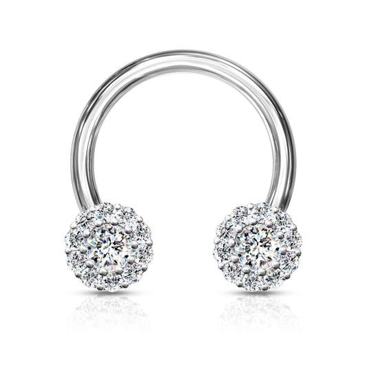 CZ Clusters Horseshoe.