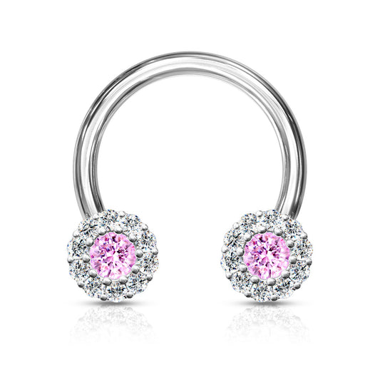 CZ Clusters Horseshoe.
