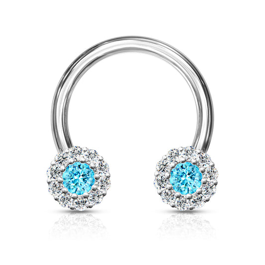 CZ Clusters Horseshoe.