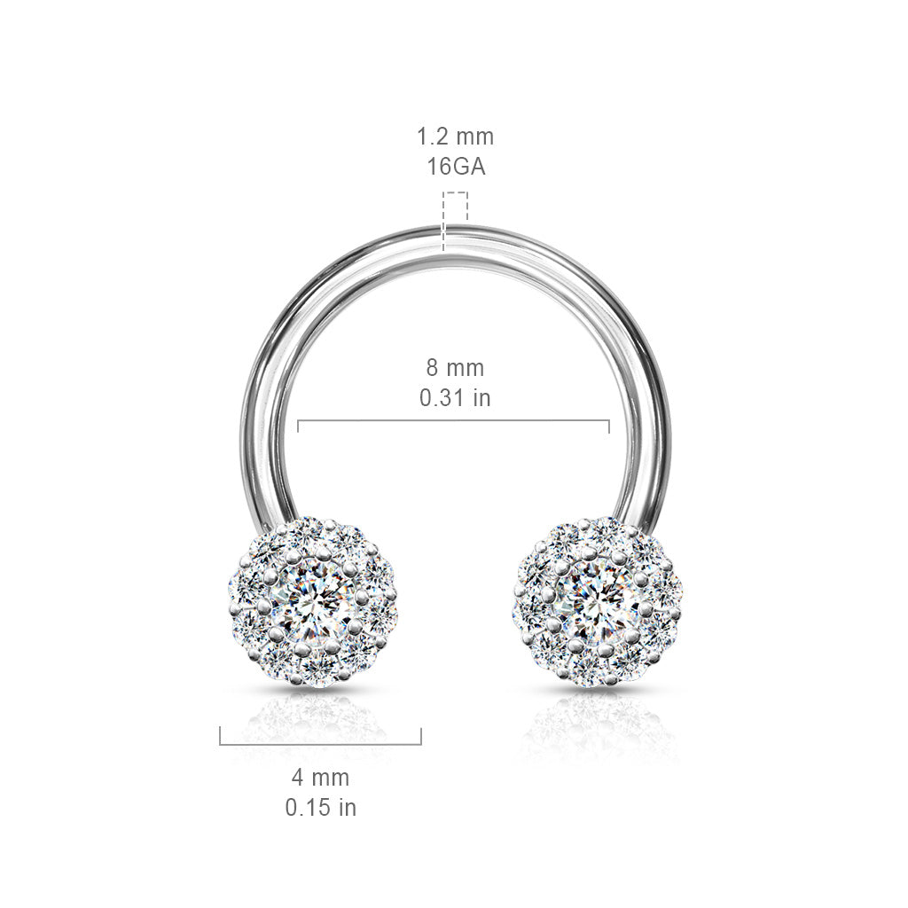 CZ Clusters Horseshoe.