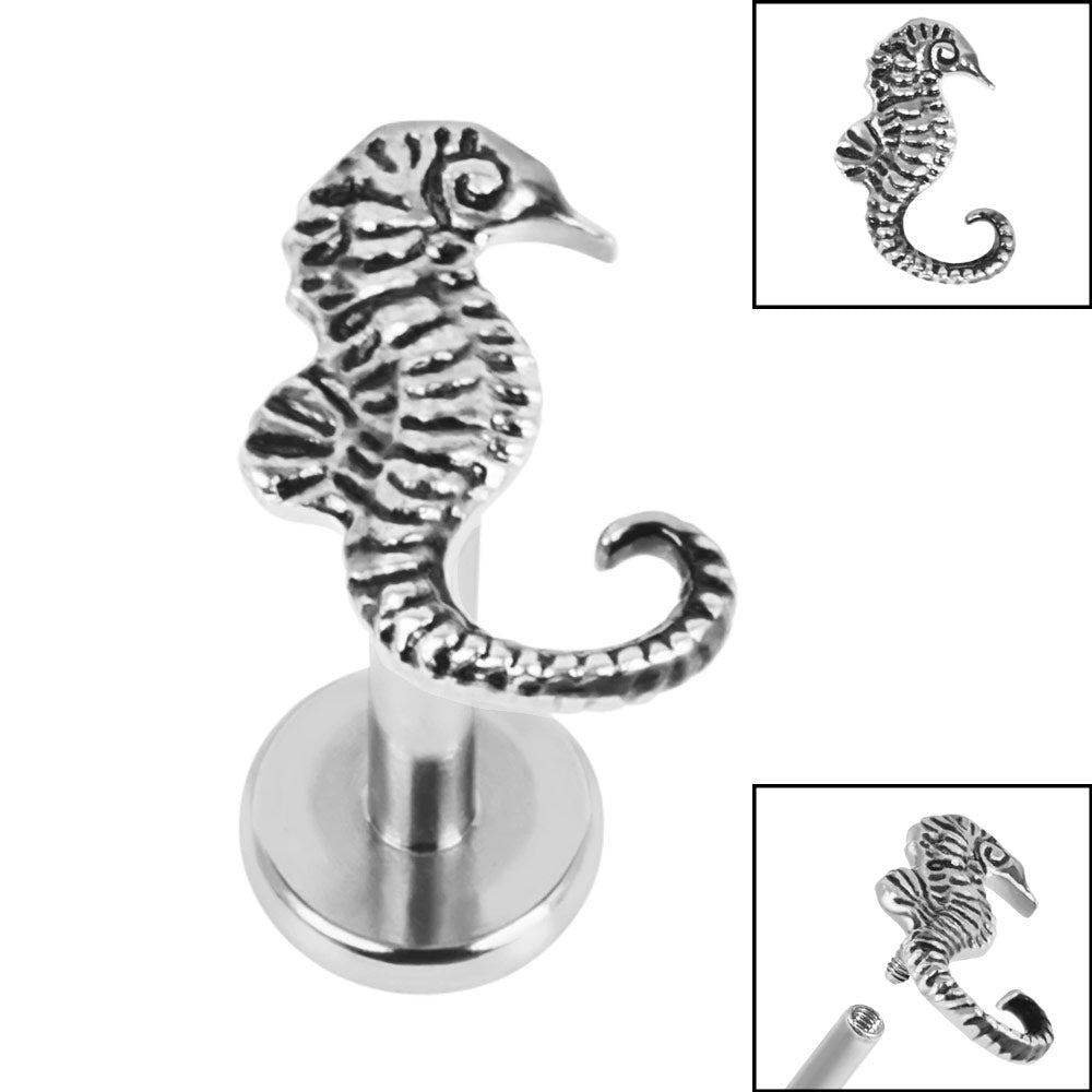 Titanium Seahorse Labret
