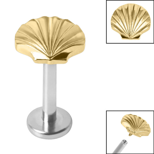 Titanium Clam Shell Labret.