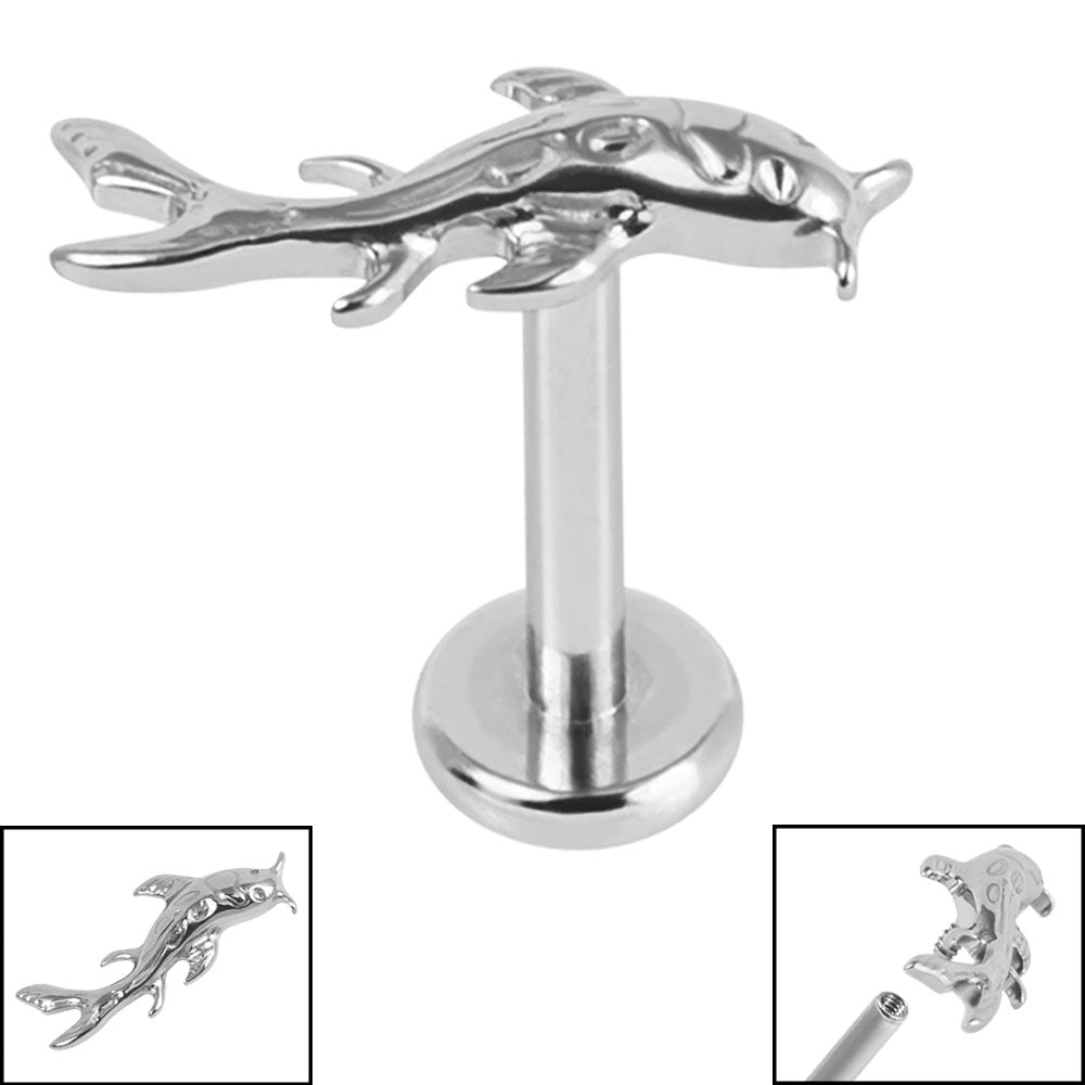 Titanium Long Koi Labret.