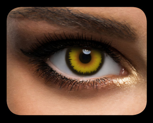 Contact Lenses - Yellow Wolf