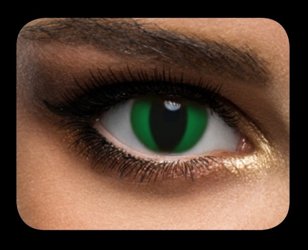 Daily Contact Lenses - Feline Green
